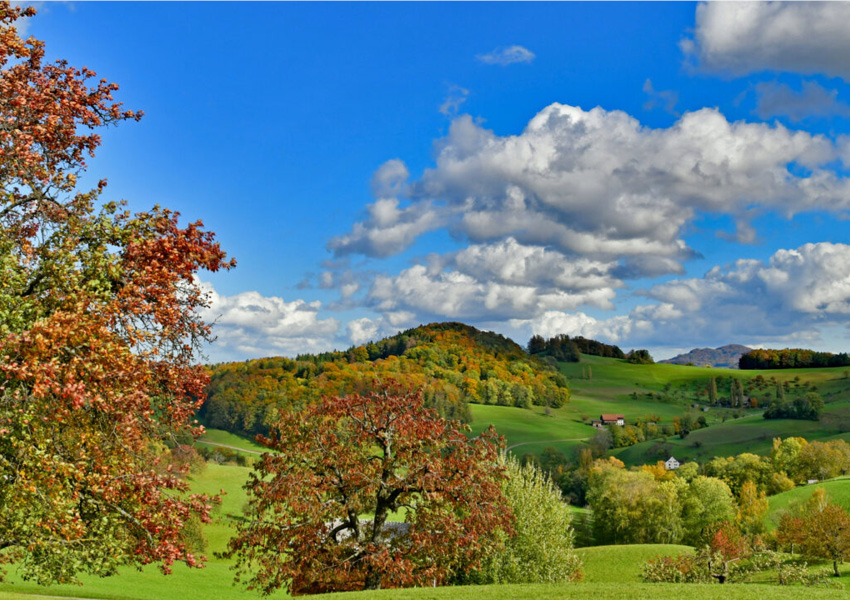 basellandschaft galerie