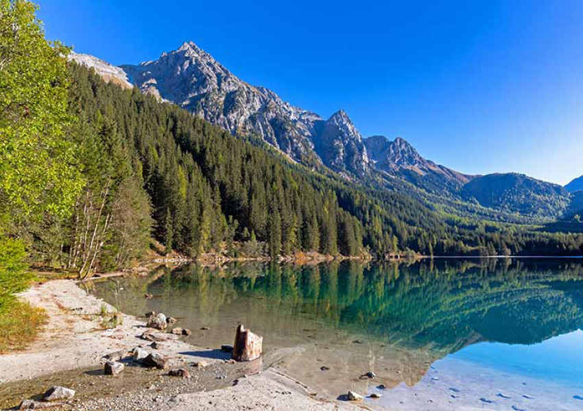antholz galerie 254